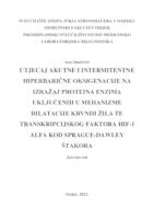 Utjecaj akutne i intermitentne hiperbarične oksigenacije na izražaj proteina enzima uključenih u mehanizme dilatacije krvnih žila te transkripcijskog faktora HIF-1 alfa kod Sprague-Dawley štakora