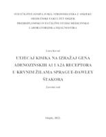 Utjecaj kisika na izražaj gena adenozinskih A1 i A2a receptora u krvnim žilama Sprague-Dawley štakora