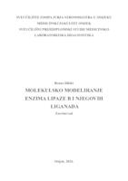 Molekulsko modeliranje enzima lipaze B i njegovih liganada