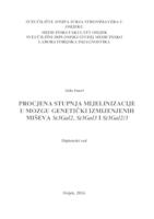 Procjena stupnja mijelinizacije u mozgu genetički izmijenjenih miševa St3Gal2, St3Gal3 i St3Gal2/3