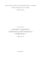 Uzročnici urogenitalnih infekcija muškaraca