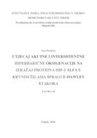 Utjecaj akutne i intermitentne hiperbarične oksigenacije na izražaj proteina HIF-1 alfa u krvnim žilama Sprague-Dawley štakora