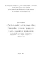 prikaz prve stranice dokumenta Učestalost i patohistološka obilježja tumora bubrega u KBC-u Osijek u razdoblju od 2017. do 2021. godine