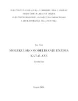 prikaz prve stranice dokumenta Molekulsko modeliranje enzima katalaze